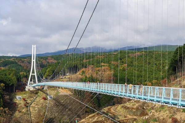 Mishima Skywalk Est Endroit Pittoresque Vous Pouvez Voir Fuji Depuis — Photo