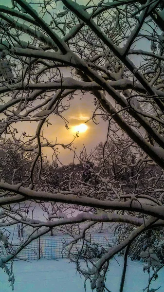 Schöne Winterliche Verschneite Landschaft Sonnenaufgang — Stockfoto