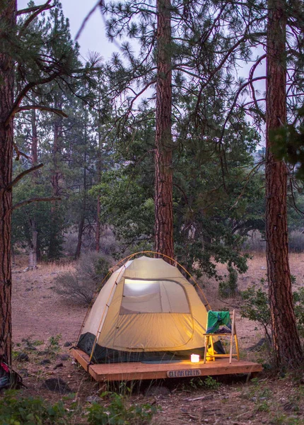 夕暮れ時に背の高い松の木の下に木のプラットフォーム上のテントが生えています — ストック写真