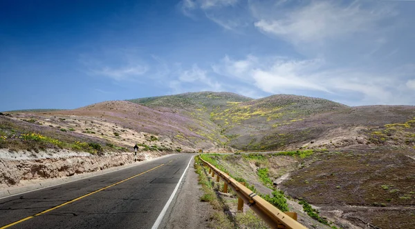 Road Way Arequipa Yellow Purple Hills — Photo