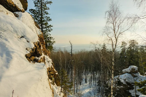 Χειμερινό Ουρικό Τοπίο Δασικοί Ορίζοντες — Φωτογραφία Αρχείου