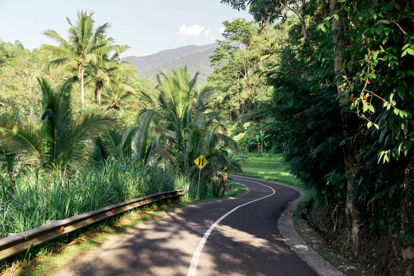 热带雨林中的道路 — 图库照片