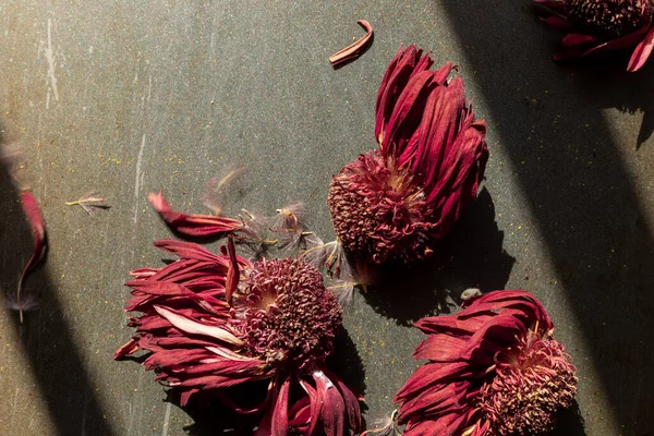 Dry Flowers Table Close — Fotografia de Stock