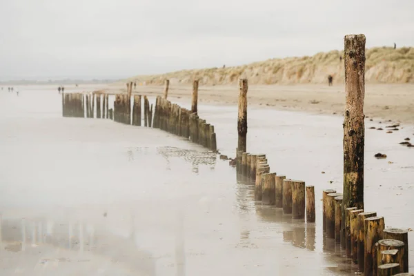 Groyne Pilling Kalten Winterstrand Gegen Sanddünen — Stockfoto