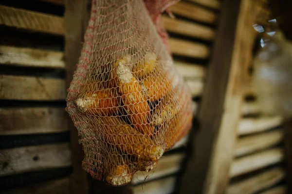 Corn Old Bag — Stock Photo, Image