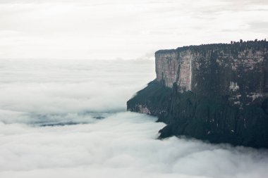 Bulutların üstündeki ada, Roraima