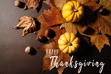 Balkabağı ve akçaağaç yapraklı Şükran Günün kutlu olsun.