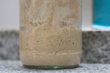 Anne kütlesi için temizlik büyüme süreci