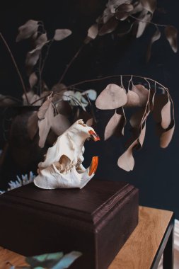 Vazoda sarı dallar, ev dekorasyonu.