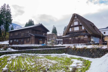 Aralık 1995 'te Dünya Mirası' nda yer alan Gokayama bölgesinde yer alan Ainokura 'da, çoğu 100 ila 200 yaşında olmak üzere 20 adet gáko tarzı ev bulunuyor. Asırlık gelenekle mimari ihtişamın kusursuz bir karışımını sunar.