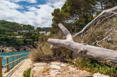 Deniz manzarası ve eski kasaba 