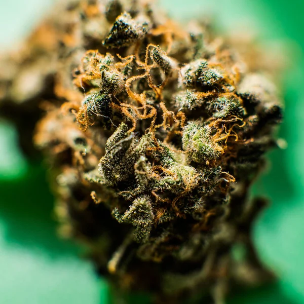 Medizinisches Marihuana Und Die Legalisierung Von Marihuana Der Welt — Stockfoto