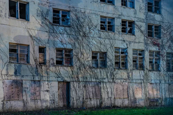 Vinhas Consumir Edifício Abandonado — Fotografia de Stock