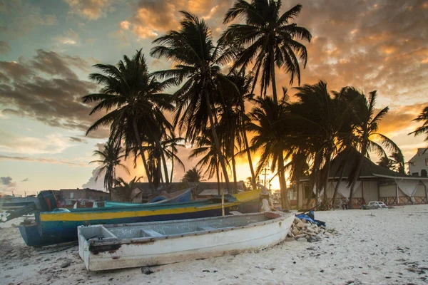 Sunset across palms at San Andres