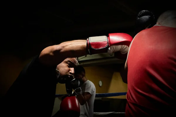 Determined Male Boxers Practicing Health Club Ring — Stock Photo, Image