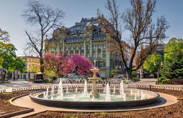 Одесса, Украина 28.10.2020. Весенние цветущие деревья в городском саду Одессы, Украина, солнечным апрельским утром