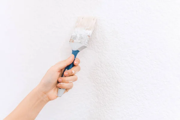 Woman Hand Holding Paint Brush Painting Wall White —  Fotos de Stock