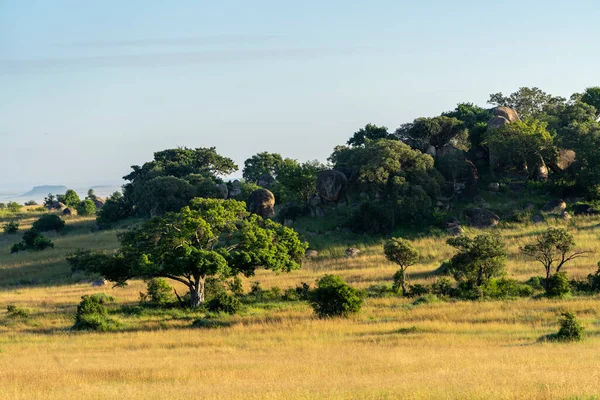 Paysage Matinal Des Plaines Afrique Orientale — Photo