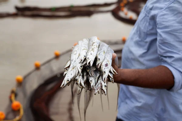 Fisherman Holds Fish Caught — Stock Photo, Image