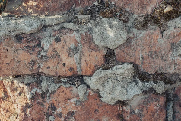 Texture Old Bricks Wall — Fotografia de Stock