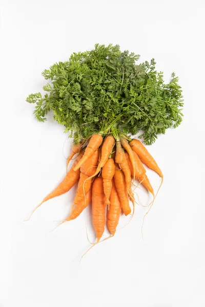 Zanahorias Ecológicas Aisladas Sobre Fondo Blanco — Foto de Stock