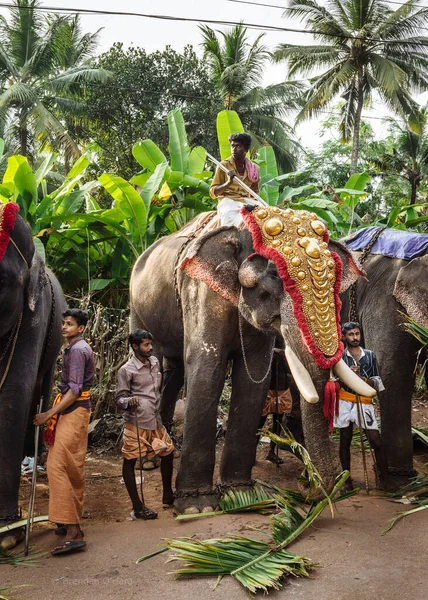 Decorated Elephant Temple Festival Varkala Kerala India — Stock Photo, Image