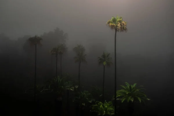 Nebbia Avvolge Montagne Santa Monica Malibu California — Foto Stock