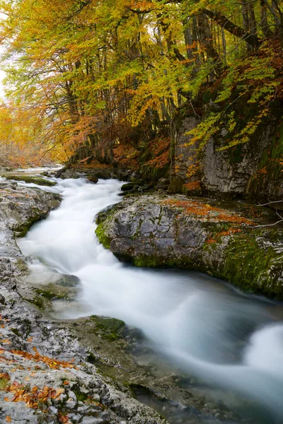 Река Арасас Национальном Парке Ордеса Пиренеи Испании — стоковое фото