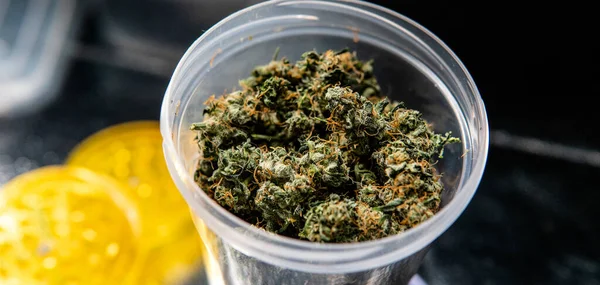 Prontos Medicinais Thc Cbd Botões Cannabis Para Fumar — Fotografia de Stock