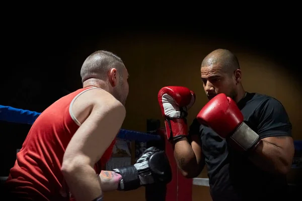 Boxeadores Masculinos Decididos Entrenando Club Salud Ring —  Fotos de Stock