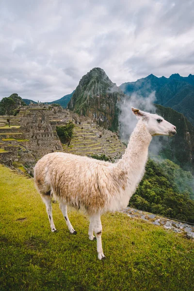 Traveling Peru One Best Cultures — Stock Photo, Image