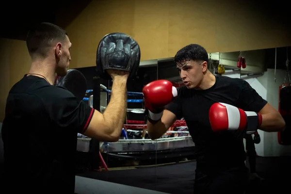 Determined Male Boxers Practicing Health Club — Stock Photo, Image