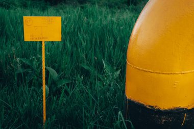 Sahilde sarı ve yeşil çimenler