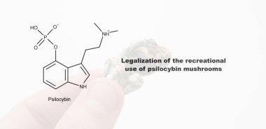 Psilosibin mantarlarının eğlence amaçlı kullanımının yasallaştırılması, psilosibin ve insan vücudu üzerindeki etkisi