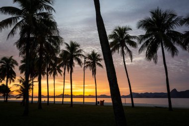 Palmiye ağaçları, Aterro do Flamengo, Rio de Janeiro, Brezilya plajında doğan sarı güneşe güzel bir manzara
