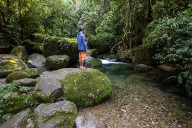 Güzel kristal berrak nehir, yeşil yağmur ormanı manzarasında mavi su, Rio de Janeiro dağlarında Serrinha Ekolojik Rezervi, Brezilya