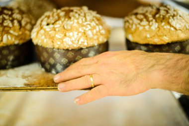 Aşçı panettone hazırlıyor İtalyan noel pastası pastanede