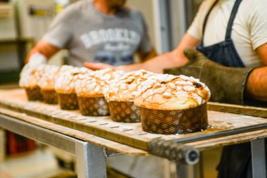 Aşçı fırıncılar panettone hazırlıyorlar İtalyan noel pastası pastanede