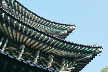 Güney Kore, Busan 'daki Budist Tapınağı Haeun-jeungsa' nın çatıları.