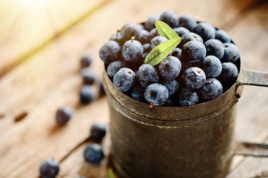 Eski bir metal kupanın içinde yaban mersinine yakın plan.