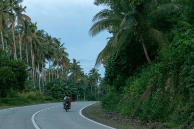 Parkta şemsiye süren bir adam.