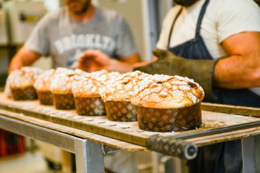 Aşçı fırıncılar panettone hazırlıyorlar İtalyan noel pastası pastanede