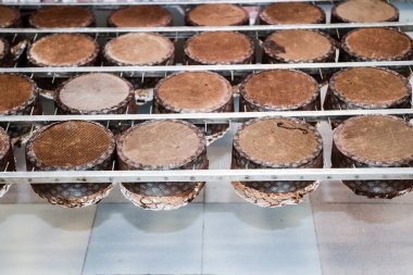 Taze pişmiş ekmek somunları