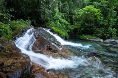 Vahşi yeşil arazi üzerinde mavi kristal berrak su havuzu olan güzel Atlantik yağmur ormanı nehri, Serrinha do Alambari, Serra da Mantiqueira, Rio de Janeiro, Brezilya