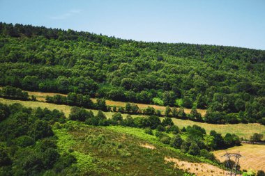 Ormanda dağları olan güzel bir manzara.