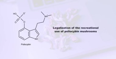 Psilosibin mantarlarının eğlence amaçlı kullanımının yasallaştırılması, psilosibin ve insan vücudu üzerindeki etkisi
