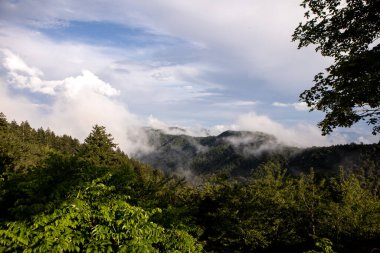 Büyük Smoky Moutain Düşük bulutlu Overlook