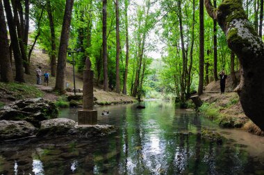Fontibre, Cantabria 'daki Ebro nehrinin kaynağı Pilar bakiresi.