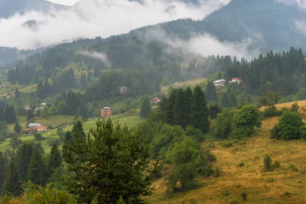 Green Hills Vacha Dam Rhodope Mountains Plovdiv Region Bulgaria — Stock Photo, Image