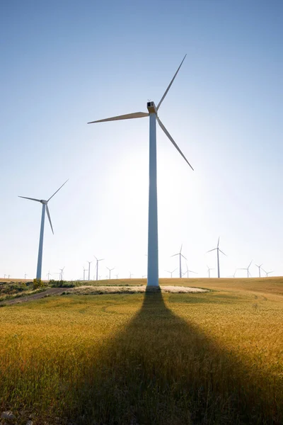 Molinos Viento Para Producción Energía Eléctrica Provincia Zaragoza Aragón España — Foto de Stock